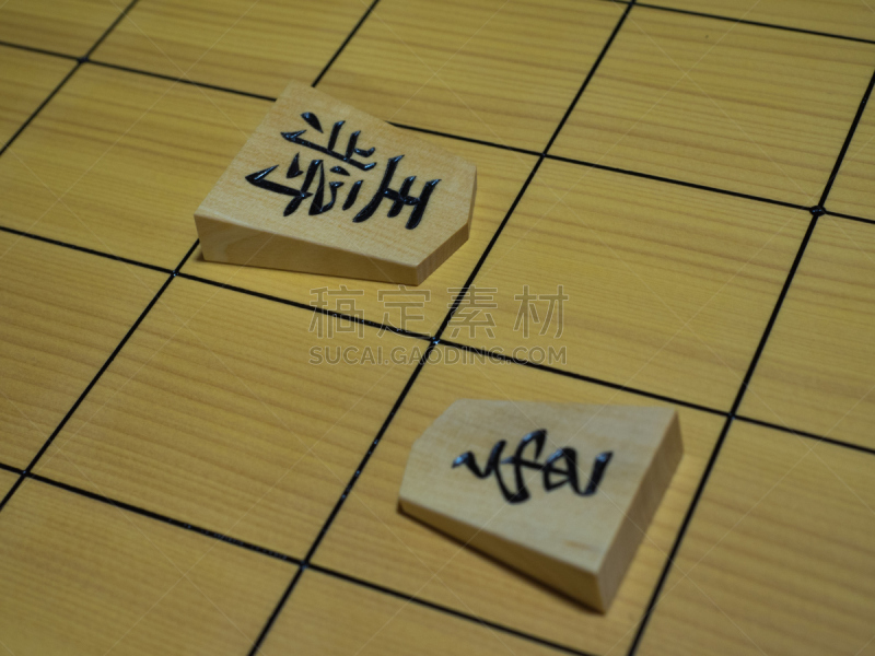 乐趣,将棋,团体性运动,棋盘游戏