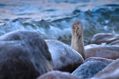 海滩,冬天,自然,水,寒冷,水平画幅,地形,岩石,木制,无人