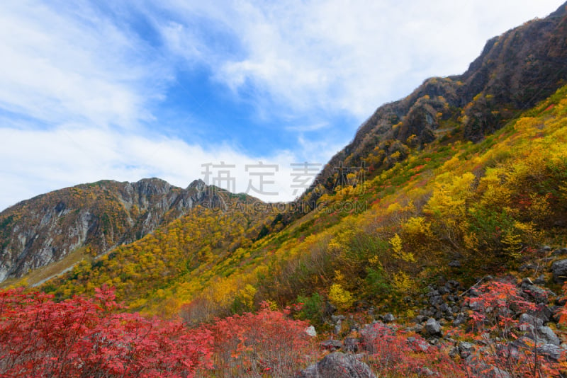 日本阿尔卑斯山脉,地形,北,上高地国家公园,松本,避暑圣地,山梨树,长野县,天空,美