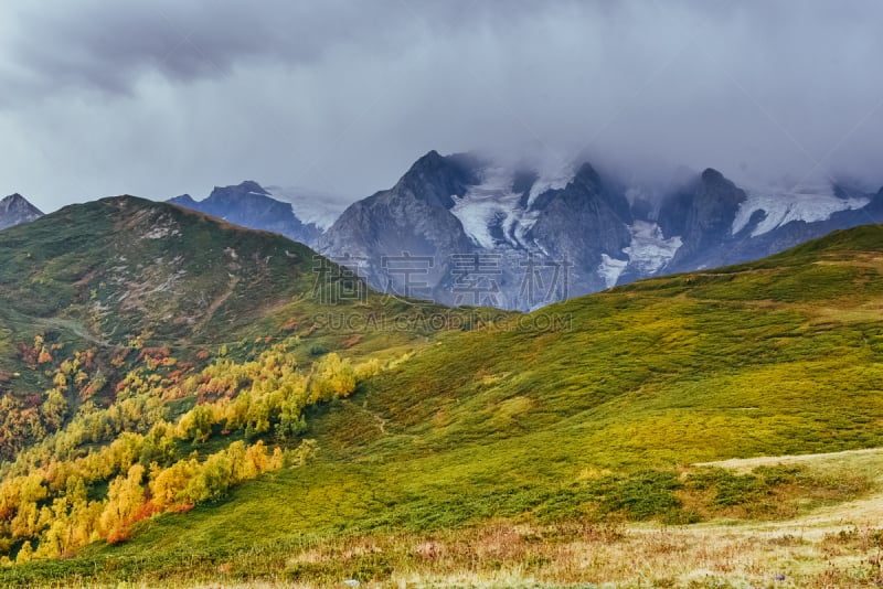 雪,山脊,地形,秋天,山,格鲁吉亚,山顶,日光,森林,白桦