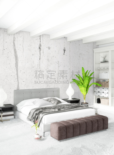 绘画插图,极简构图,木制,沙发,卧室,银色,白色,室内设计师,三维图形