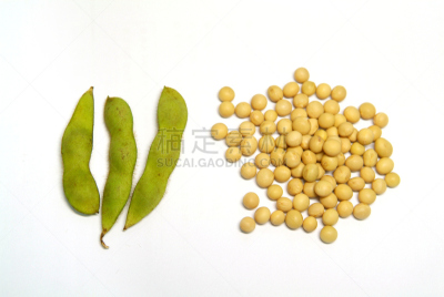 豌豆荚,生食,豆,蚕豆,青豆,外壳,豆腐,饮料,蔬菜,清新