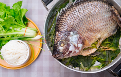 特写,鱼类,罗非鱼,锅,蔬菜,酱汁,水平画幅,传统,膳食,海产