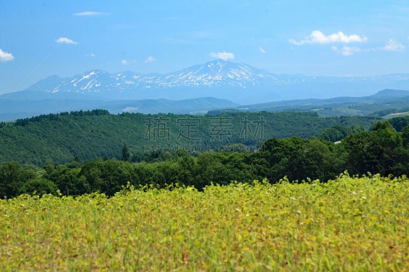 北海道,日本,风景,自然美,富良野盆地,美瑛町,水平画幅,山,无人,著名景点