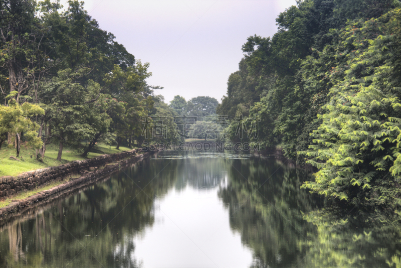 岩石,桨叉架船,锡吉里耶,斯里兰卡,狮子,自然,天空,水平画幅,地形,宫殿