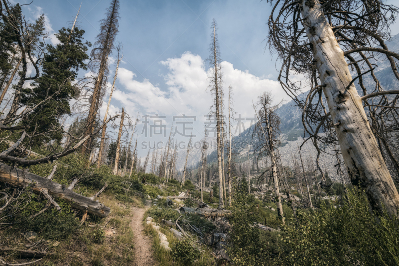 墨尔经,加利福尼亚内华达山脉,美国,水平画幅,无人,2015年,户外,加利福尼亚,徒步旅行,摄影