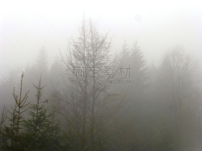 度假胜地,水平画幅,无人,东欧,户外,伊万诺-弗兰克依维卡,在上面,树林,运动,冬天