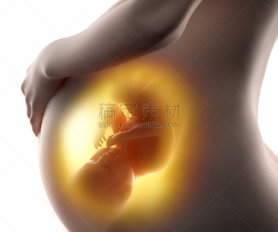 女人,胎儿,三维图形,概念,水平画幅,父母,手,腹腔,人