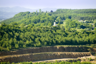 forest of dean,英国,格洛斯特郡,美,公园,水平画幅,枝繁叶茂,英格兰,户外,树林