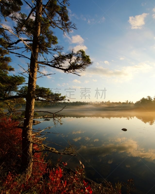 缅因州,雾,贝克斯特州立公园,池塘,清新,曙暮光,云,湖,背景,户外