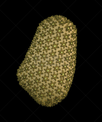 艾滋病,平衡折角灯,分子结构,分离着色,黑色背景,生物学,微生物学,健康保健,药,病原