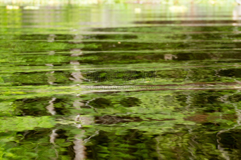 亚马逊雨林,湿地,风景,马瑙斯,亚马孙洲,观光船,亚马逊地区,野生动物保护,水,气候