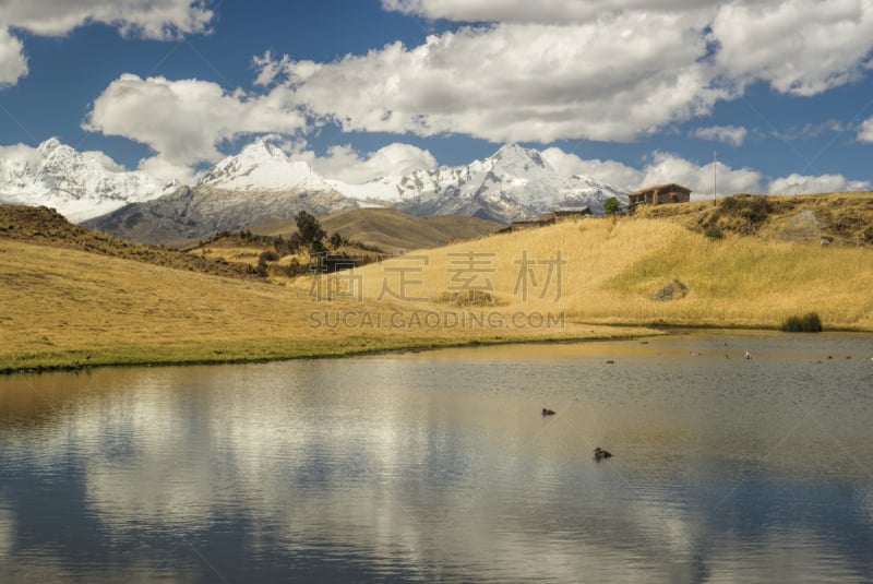 秘鲁,尼格拉山脉,东科迪勒拉山脉,南美,水,水平画幅,雪,无人,鸟类,户外