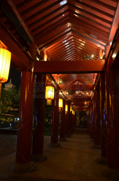 西安,建筑外部,宝塔,鹅肉,巨大的,野外动物,大雁塔,陕西省,垂直画幅