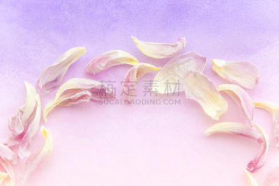 留白,边框,郁金香,模板,明信片,彩色背景,深情的,圆形,紫色,粉色