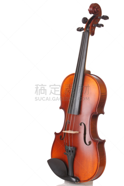 小提琴,所罗门前兰伯特,低音提琴,凯尔特音乐,巴洛克式的管弦乐,大提琴,合唱团,乐器弦,低音乐器,琴弦