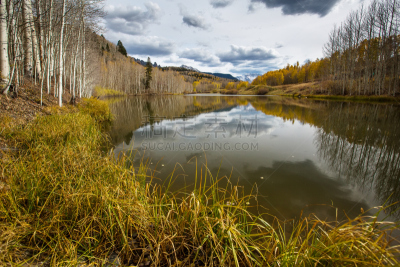 科罗拉多州,美国,地形,uncompahgre national forest,斯奈佛尔斯山脉,布希曼族,达拉斯市,自然,天空,水平画幅