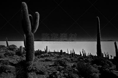 乌尤尼盐沼,风景,黑白图片,图努帕山,阿尔蒂普拉诺山脉,阴影对焦,水,天空,平视角,美洲