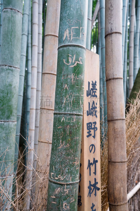 京都府,岚山,竹林,环境,环境保护,禅宗,著名景点,自然美,京都市,小路