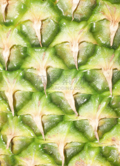 菠萝,垂直画幅,正面视角,与摄影有关的场景,橙色,水果,无人,酸味,生食,熟的