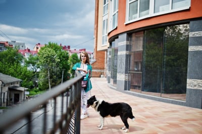 莱卡犬,友谊,狗,人,破洞牛仔裤,眼镜,街道,女孩,城市