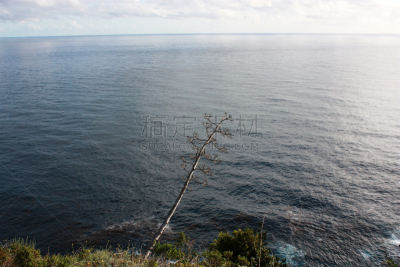 美国,加利福尼亚,海岸线,大苏尔,自然美,水,天空,卡麦尔,水平画幅,无人