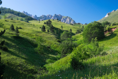 草地,山,塞族共和国,自然,波斯尼亚和黑塞哥维那,旅游目的地,水平画幅,绿色,地形,无人