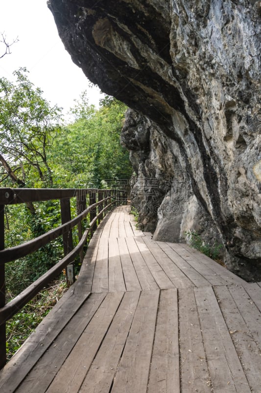 木制,痕迹,垂直画幅,山,旅行者,夏天,草,非凡的,希腊,山脊