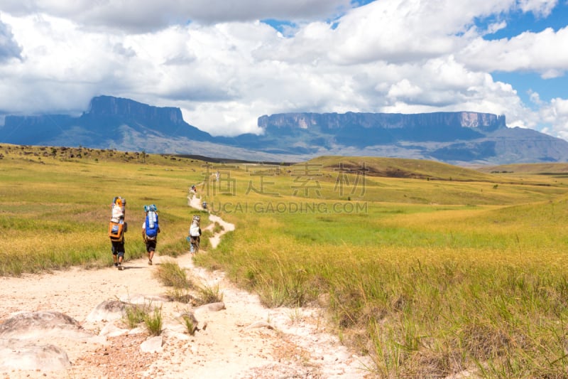 罗赖马山,平顶山区,平顶山,canaima,罗赖马州,委内瑞拉,南美,水平画幅,无人,户外