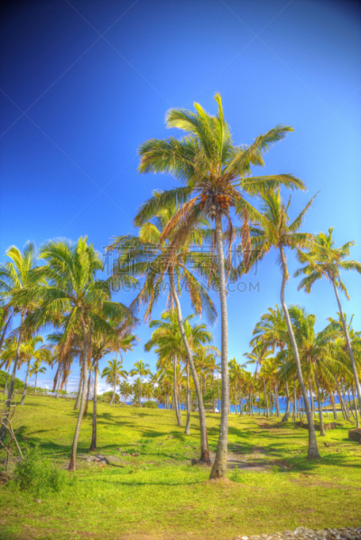安纳根纳,沙子,海滩,珊瑚,白色,玛凯那海滩,复活节岛 ,垂直画幅,水,天空