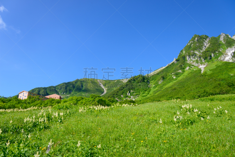 长野县,山,日本,长野县驹根市,甲斐驹岳山,日本阿尔卑斯山脉,美,里山,水平画幅