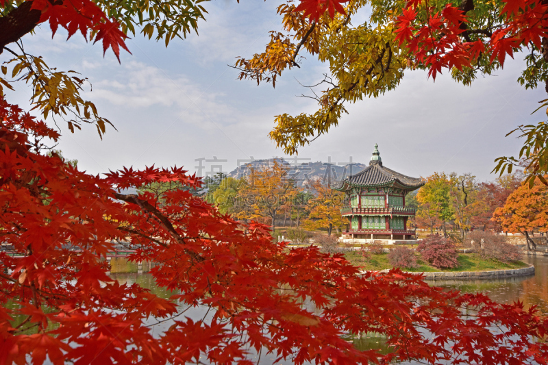 景福宫,首尔,韩国,秋天,宫殿,光华门,亭台楼阁,天空,美,水平画幅