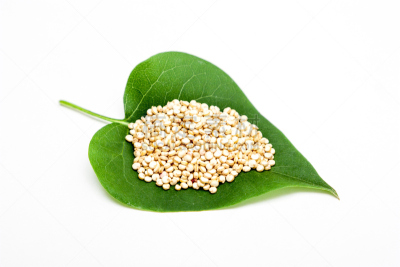 藜麦,自然,水平画幅,素食,无人,有机食品,干净,小吃,蛋白质,种子