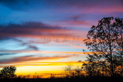 沼泽,路易斯安那州,水,天空,棕榈沙滩镇,夜晚,湖,棕榈树,柏树,黎明