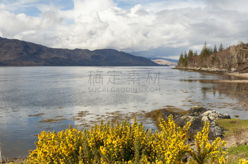 苏格兰,林尼湾,水,水平画幅,无人,户外,湖,植物,山,英国