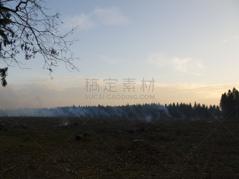 森林火灾,车站火灾,自然,水平画幅,自然灾害,无人,烟雾,火,灰,火焰