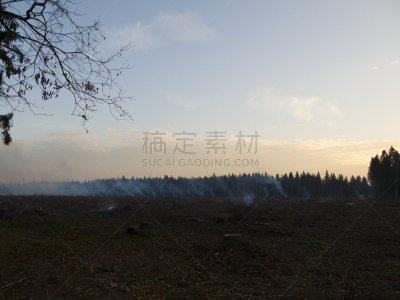 森林火灾,车站火灾,自然,水平画幅,自然灾害,无人,烟雾,火,灰,火焰