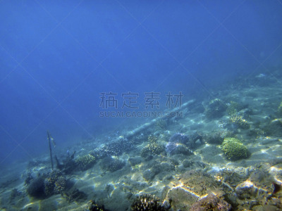 卢甘维尔,瓦努阿图,桑拓神像,海洋生命,水,水平画幅,海葵,蛤,无人,海港