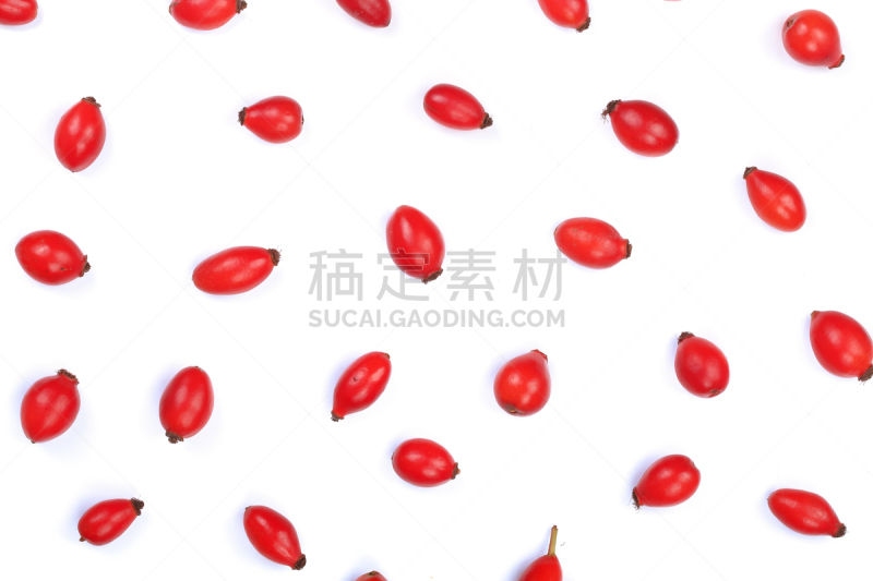 风景,浆果,式样,白色背景,分离着色,平铺,蔷薇果,荆棘,白色