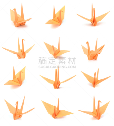 折纸工艺,鸟类,纸,鹤,垂直画幅,美国,艺术,动物,美术工艺