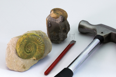 化石,留白,锤子,地球女神,水平画幅,岩石,贝壳,生物,无人,白色背景