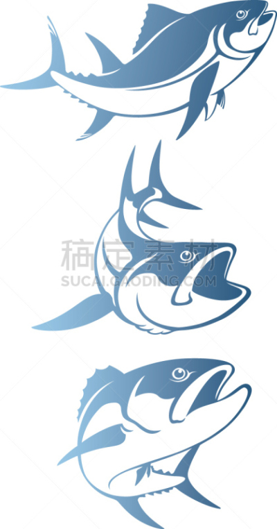 鲔鱼,品牌名称,箭鱼,旗鱼,剑,菜单,运动,渔业,食品,野生动物