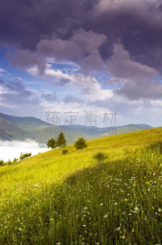 山,卡帕锡安山脉,黄昏,高原,乌克兰,地形,特伦钦,垂直画幅,无人,夏天