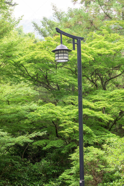 日本,森林,路灯,垂直画幅,山,无人,2015年,远古的,户外,广岛县
