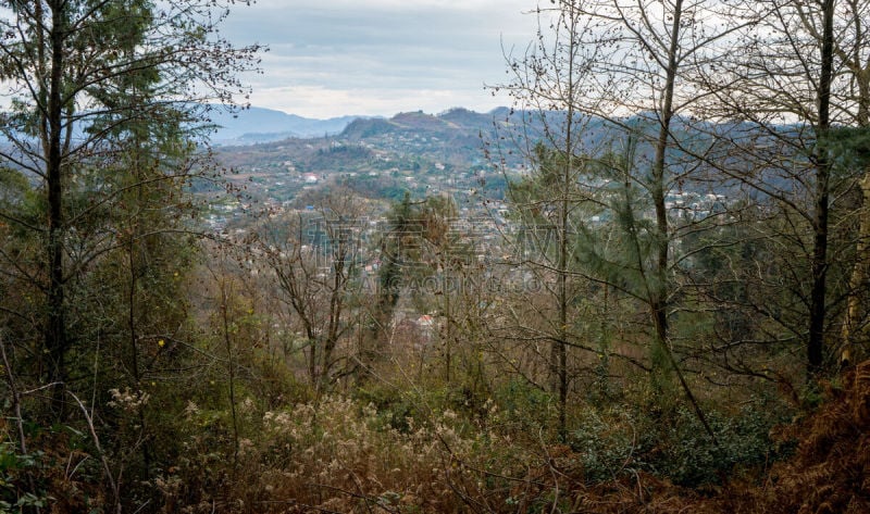 山景城,伦敦城,城镇,风景,全景,图像,海洋,公园,苏呼米,著名景点