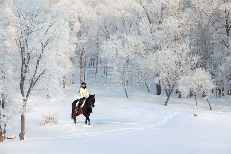 雪,马,自然美,女人,休闲活动,山脊,雪花,动物拉雪橇比赛,水的凝结形态,冬季运动