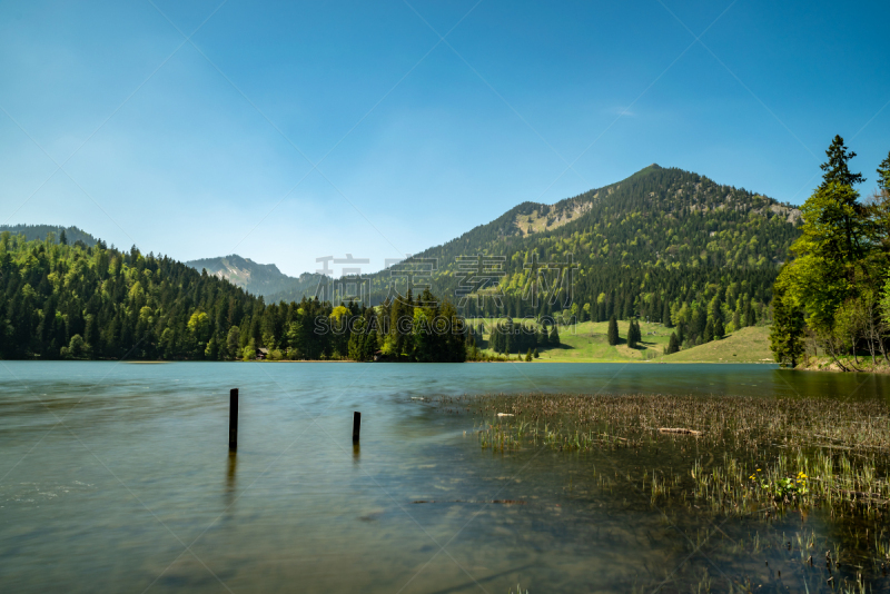 lake spitzingsee,水生植物,长的,长时间曝光,水,天空,美,水平画幅,无人,夏天