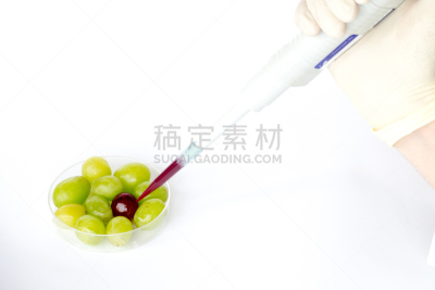 红葡萄,再结合,水平画幅,科学实验,科学,实验室,转基因,危险,农业,蔬菜