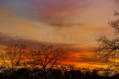 冬天,帕丁顿区,水平画幅,无人,英国,日落,摄影,树