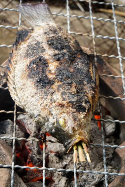 盐,鱼类,炊具,尼罗河,垂直画幅,格子烤肉,膳食,户外,鱼干,泰国